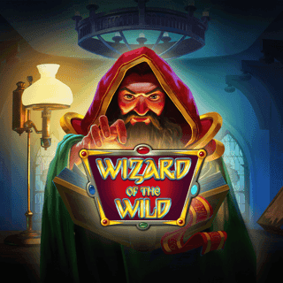 Wizard of the Wild icon